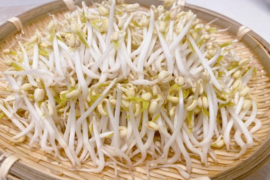 calo giá đỗ