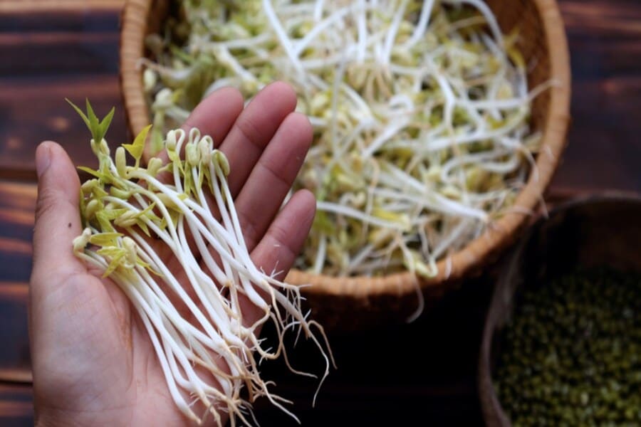 calo giá đỗ