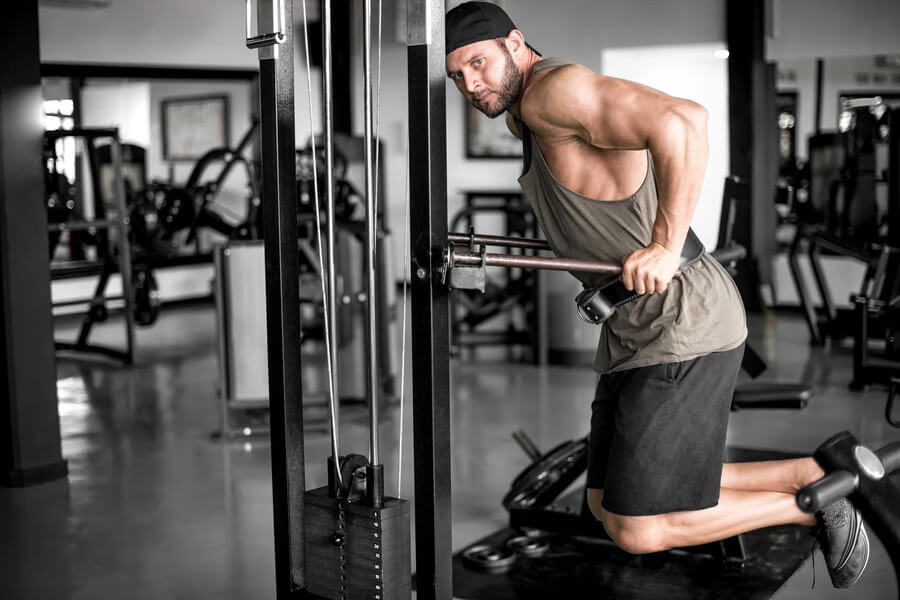 dip trong gym là gì