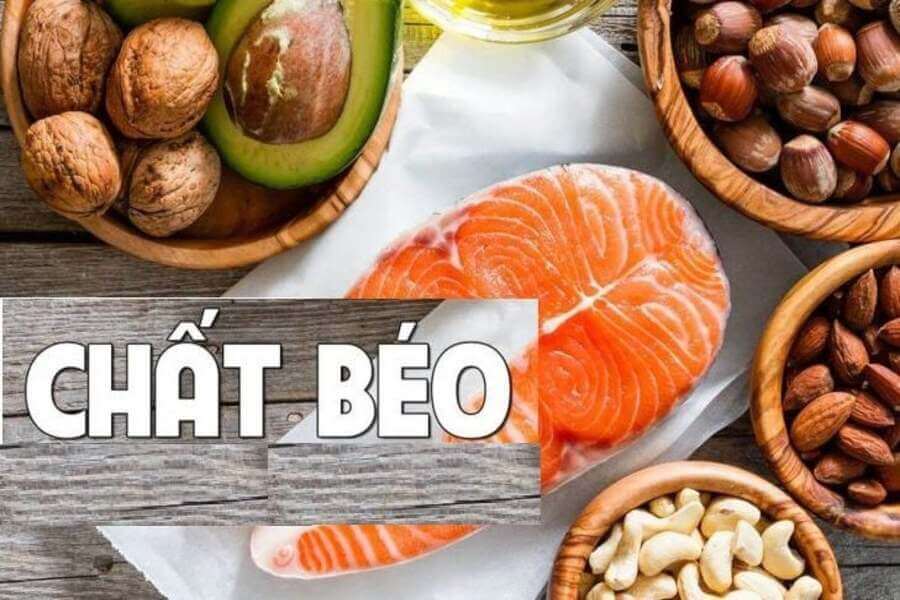 fat trong gym là gì