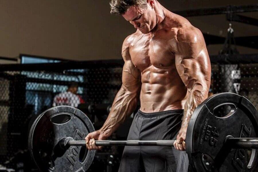 insulin là gì trong gym