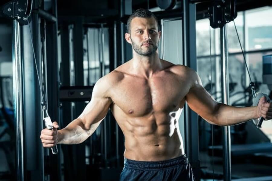 off season trong gym là gì