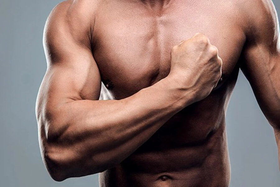 Protein là gì trong gym