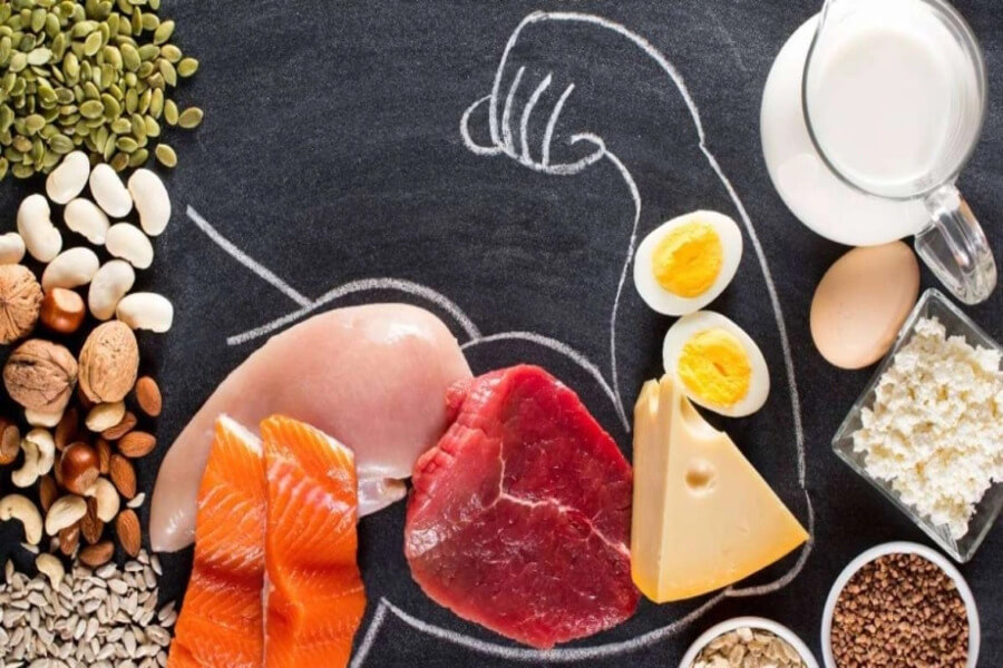 Protein là gì trong gym