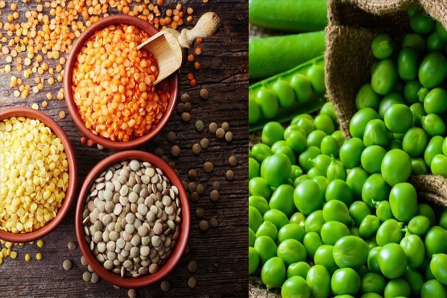 thực phẩm giàu protein tăng cơ