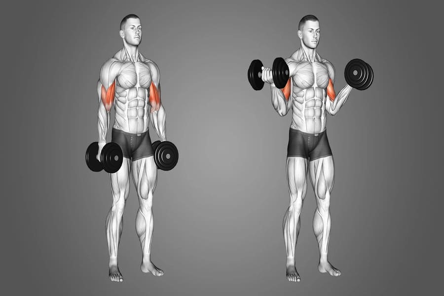 upper trong gym là gì