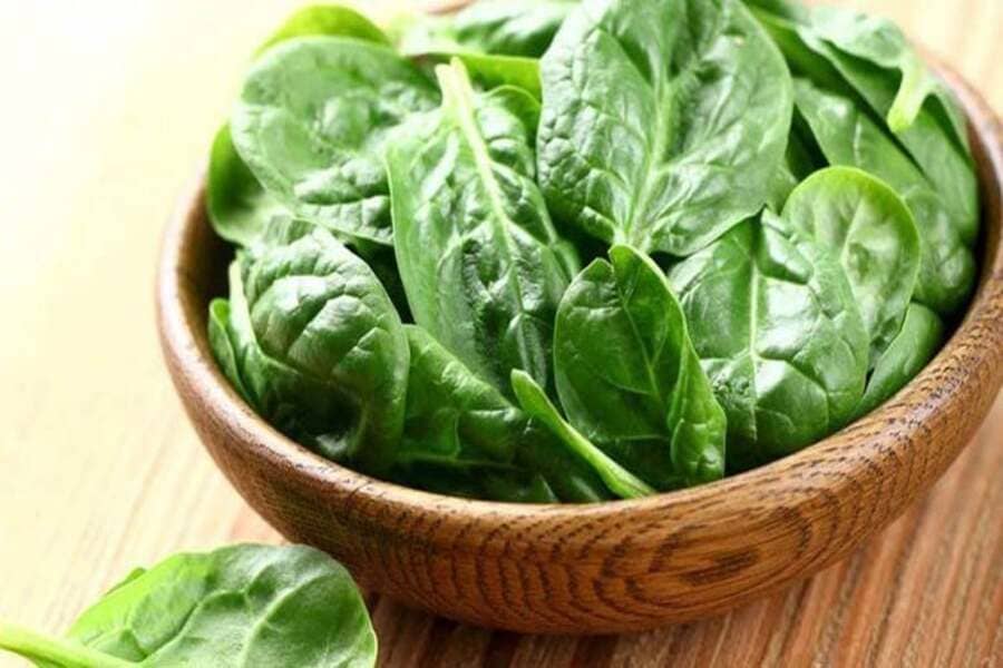 rau mồng tơi có tác dụng gì