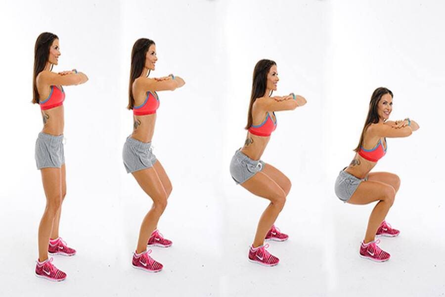 Squat gym là gì