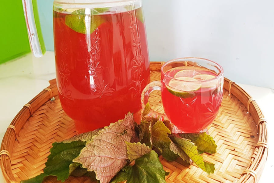 uống nước tía tô có tác dụng gì