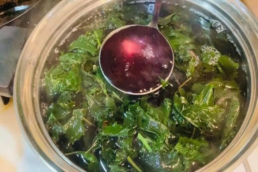 uống nước tía tô có tác dụng gì