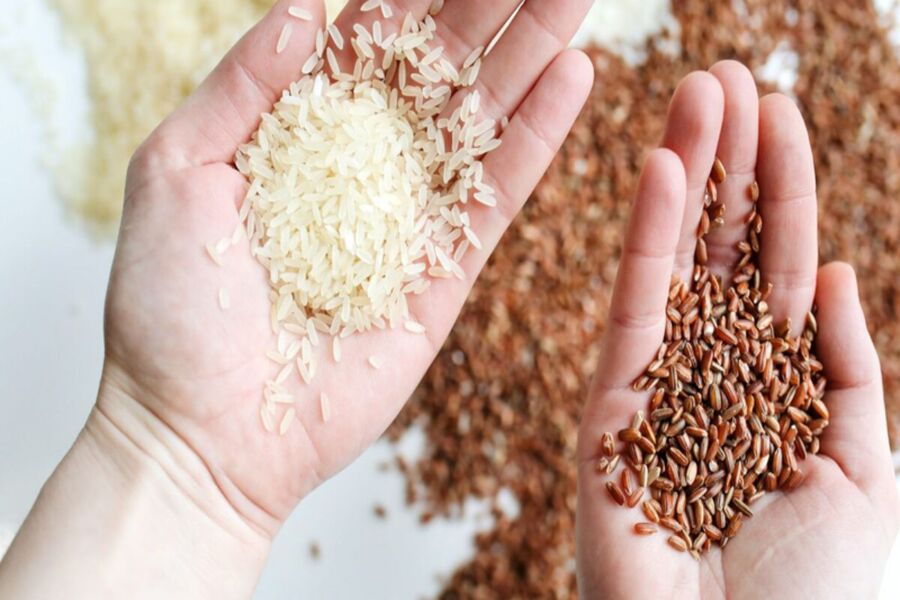 calo gạo lứt so với gạo trắng