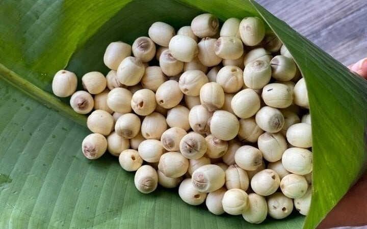 calo hạt sen