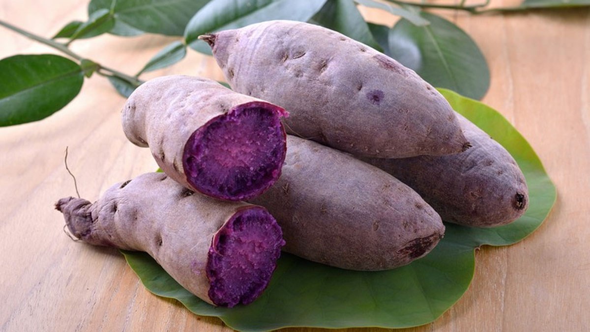 calo khoai lang