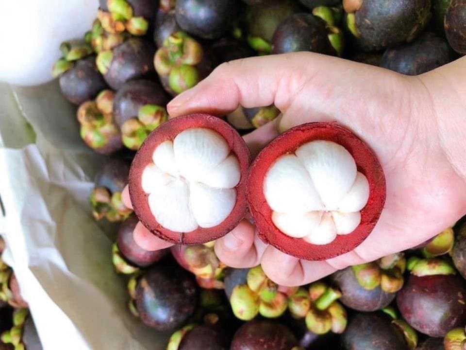 calo măng cụt khá thấp