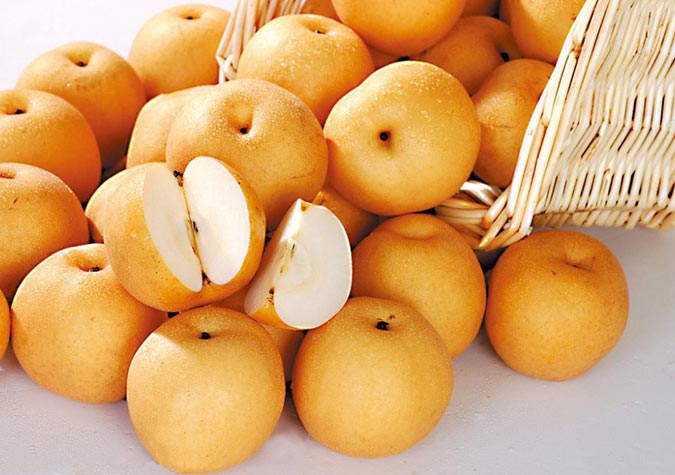 calo trong lê hàn quốc