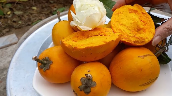 calo trong quả lê ki ma