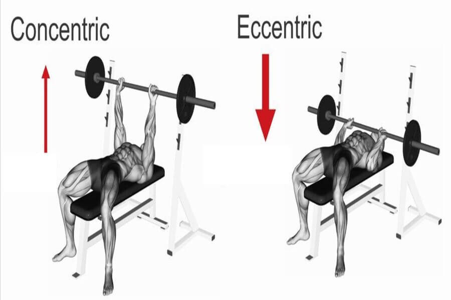 concentric trong gym là gì