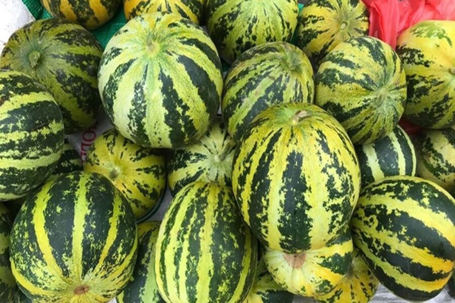 dưa bở bao nhiêu calo