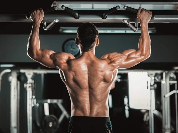 Lat là gì trong gym