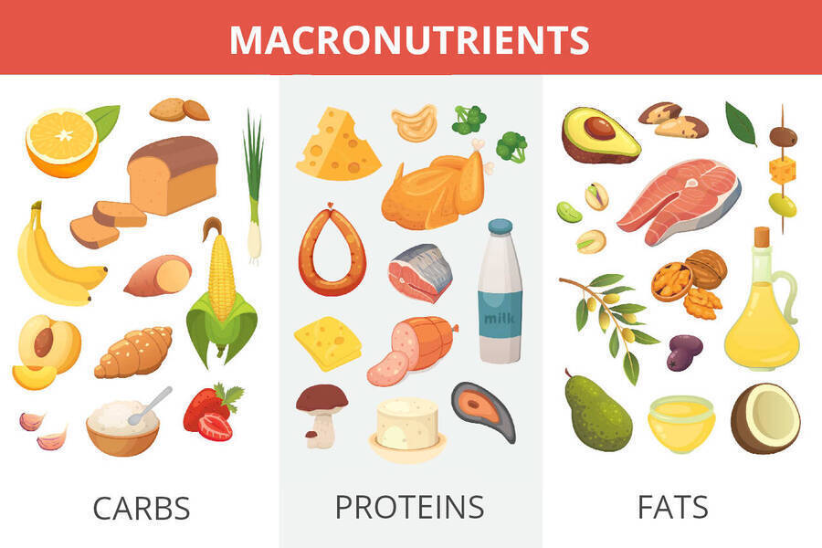 macro trong gym là gì