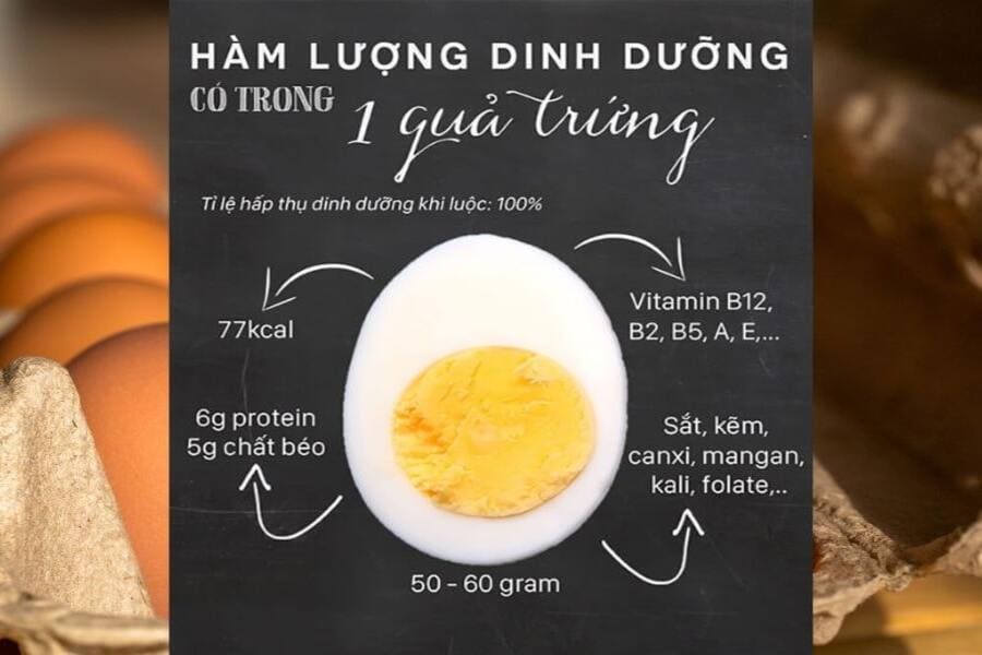 mỗi sáng ăn 1 quả trứng gà có tốt không
