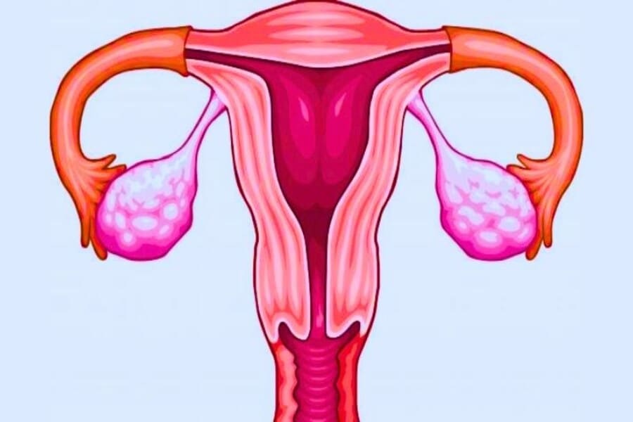 tác dụng của vitamin E với buồng trứng