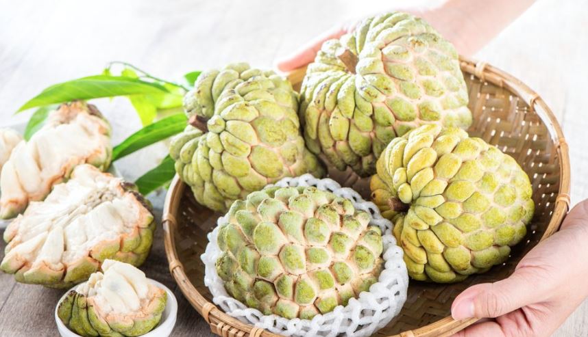 calo quả na