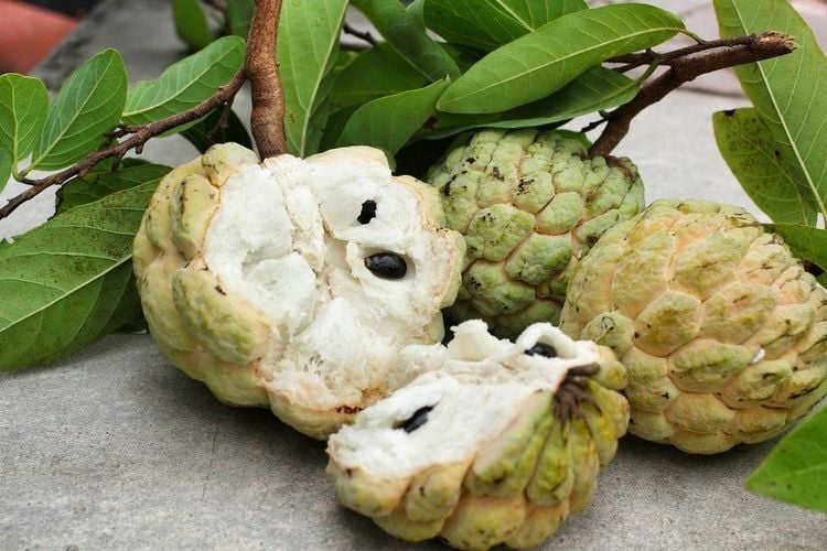 calo quả na