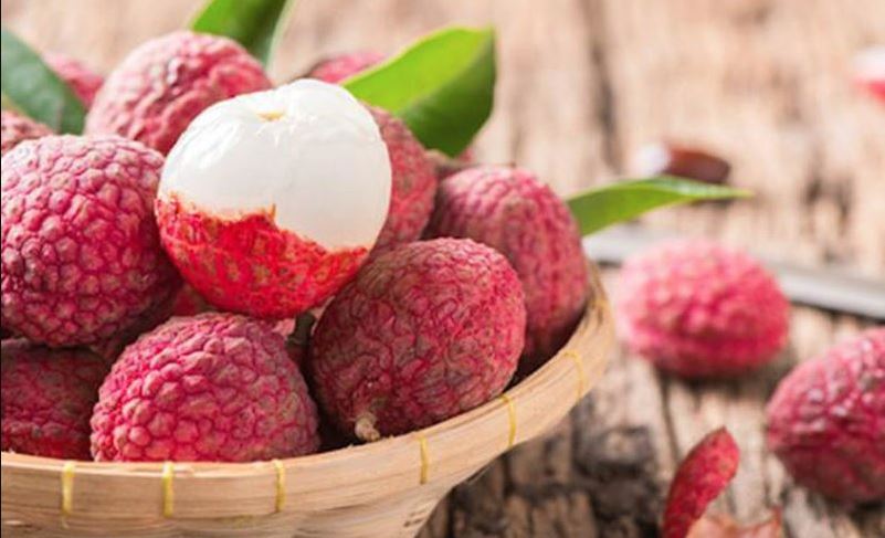 calo quả vải