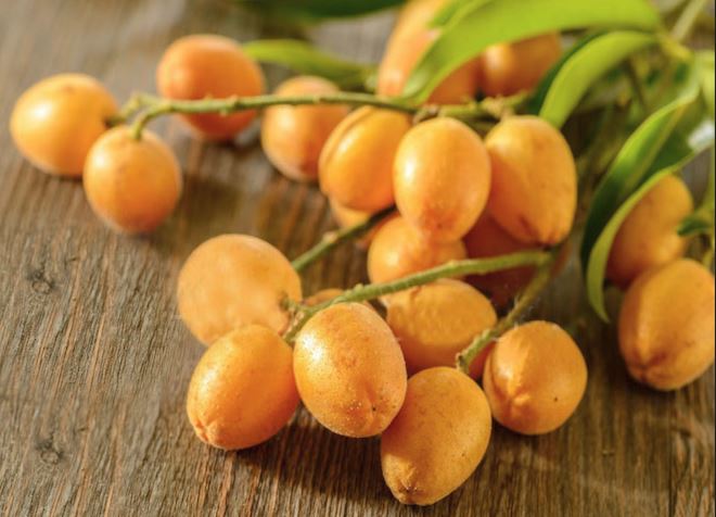 calo quất hồng bì