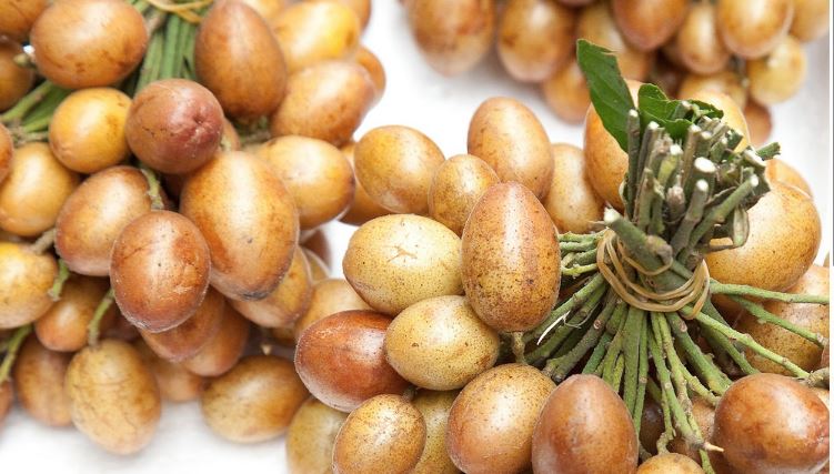 calo quất hồng bì