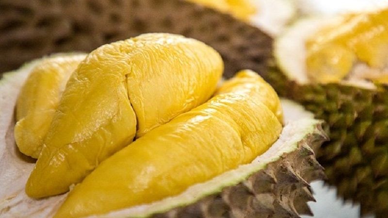 calo sầu riêng