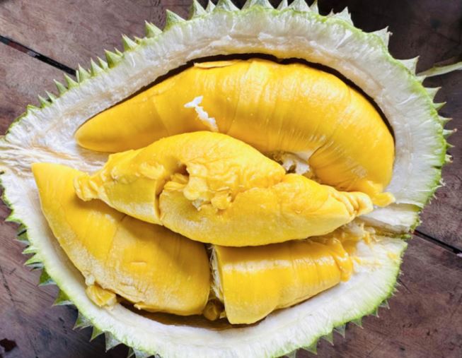calo sầu riêng