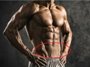 tập cơ bụng dưới