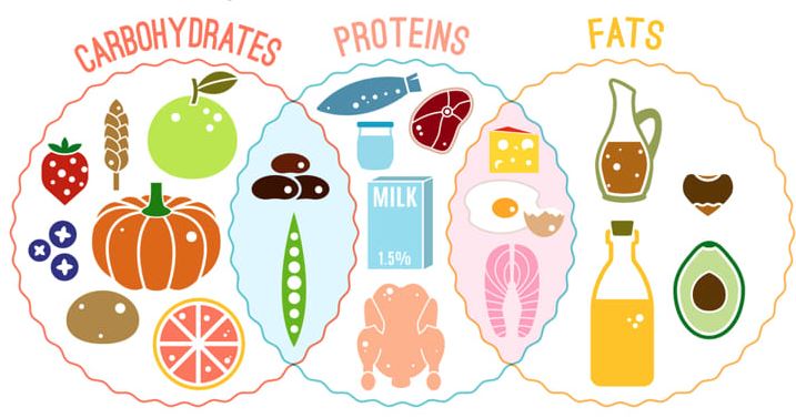 quy đổi kcal sang calo
