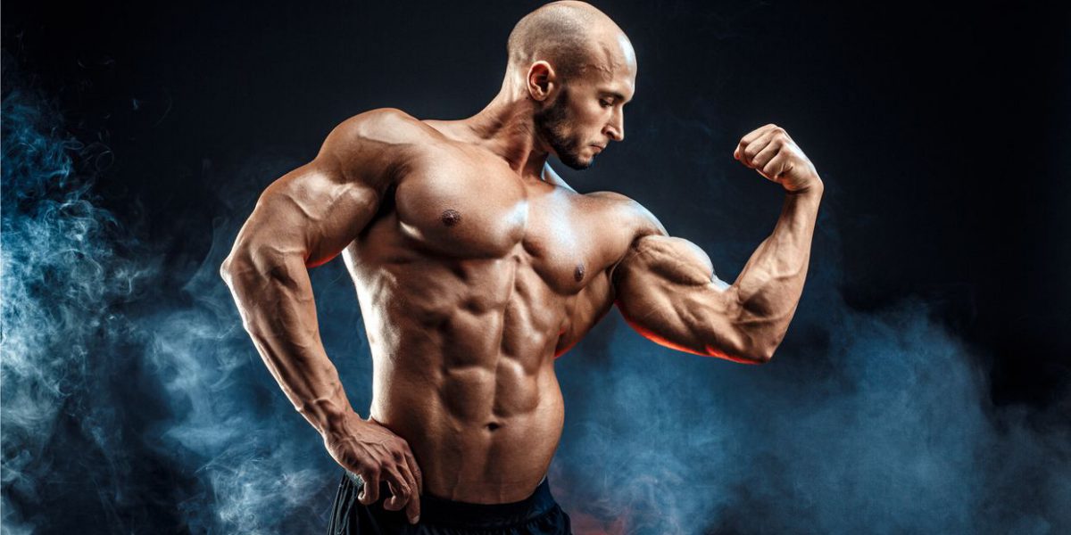 vai trò của atp đối với người tập thể hình gym là gì