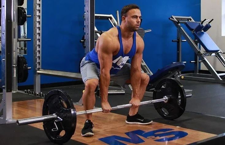 làm cách nào để mập