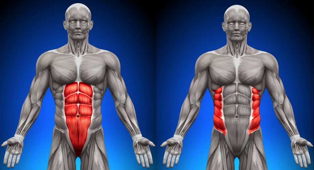 lịch tập 2 nhóm cơ 1 ngày