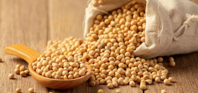 bài tập thể dục tăng vòng 1