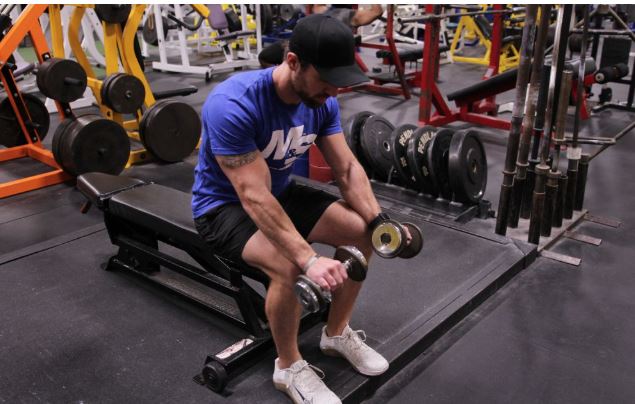 các bài tập cẳng tay