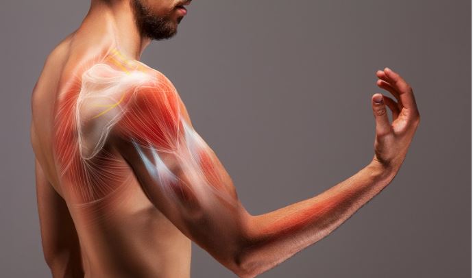 bài tập bắp tay