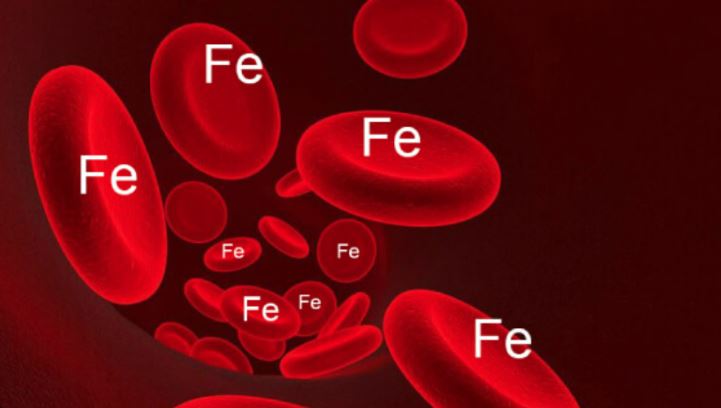 những dấu hiệu của thiếu máu