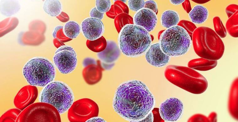 những dấu hiệu ung thư máu