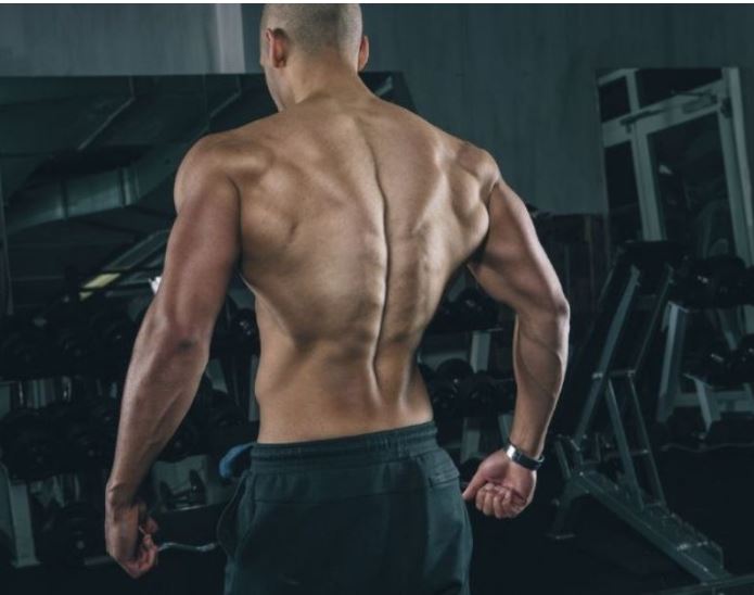 Các nhóm cơ lưng