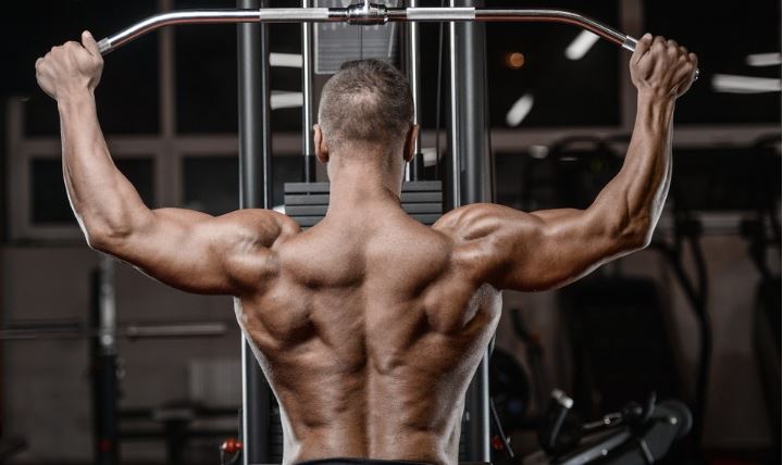 Các nhóm cơ lưng