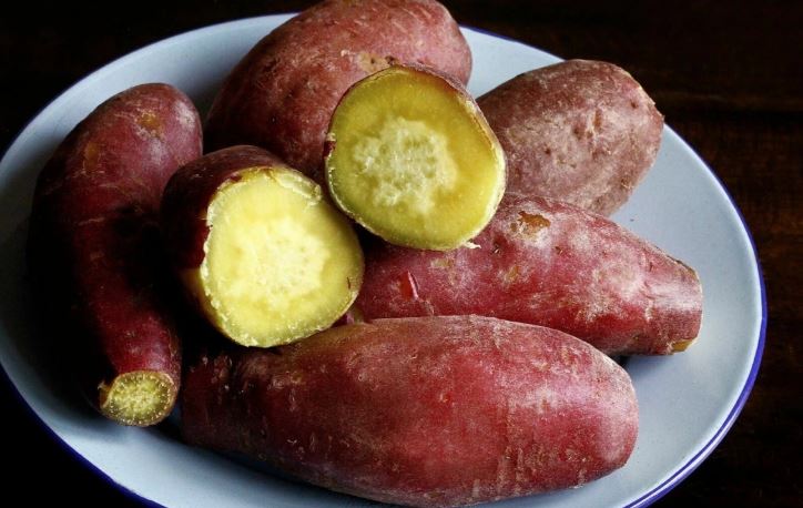 chế độ ăn uống viêm đại tràng