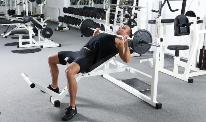 các nhóm cơ lớn