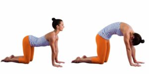yoga cho người đau vai gáy